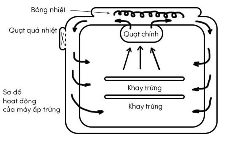 cấu tạo của máy ấp trứng gia cầm