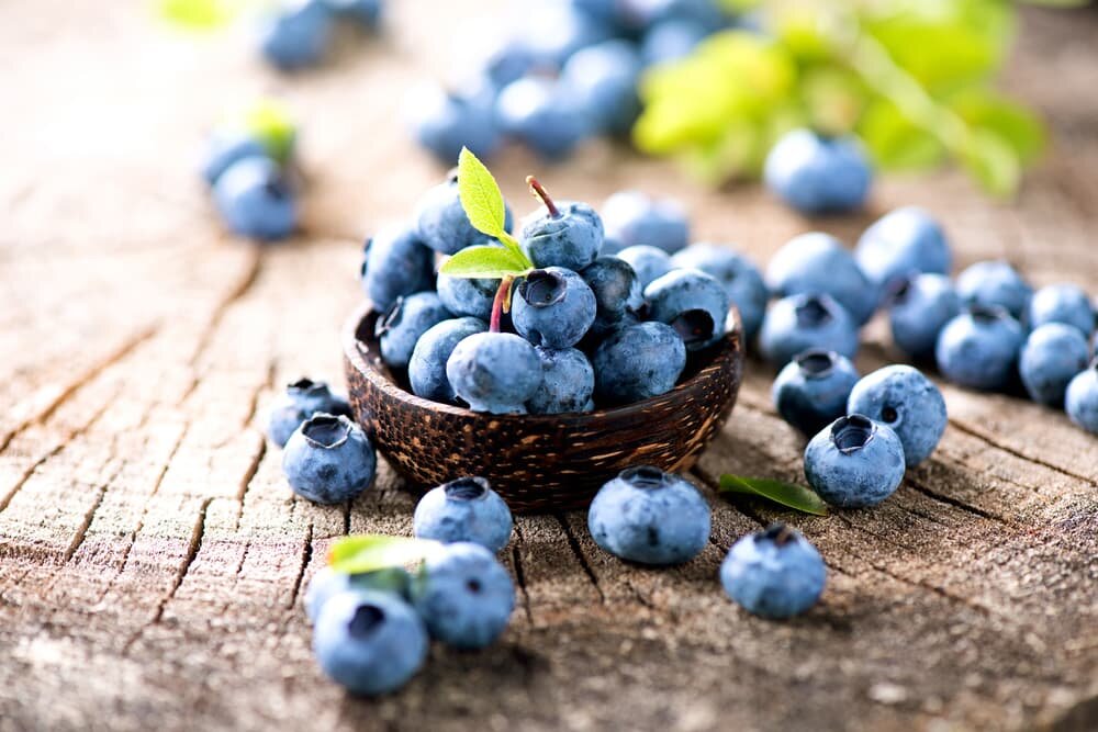 Blueberries support brain development