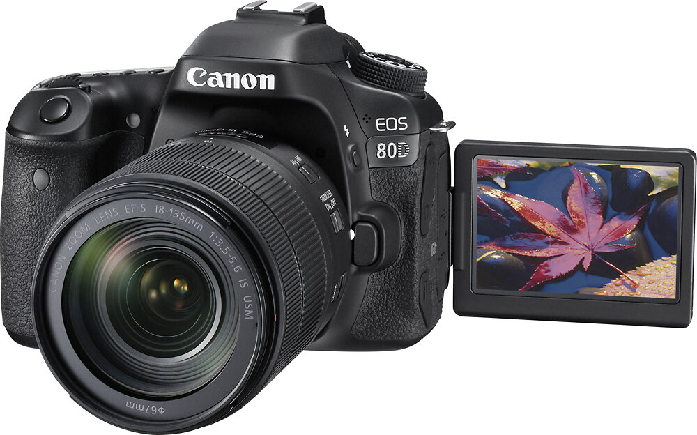 File ảnh chụp có thể lưu trữ cả dạng JPG và RAW với Canon EOS 80D