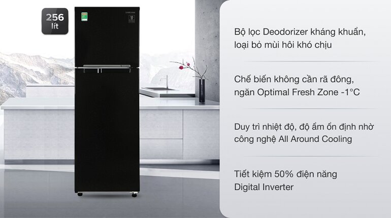 Tủ lạnh Samsung Inverter 256 lít RT25M4032BU/SV 