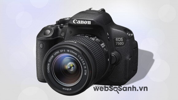 Canon EOS 750D / Rebel T6i