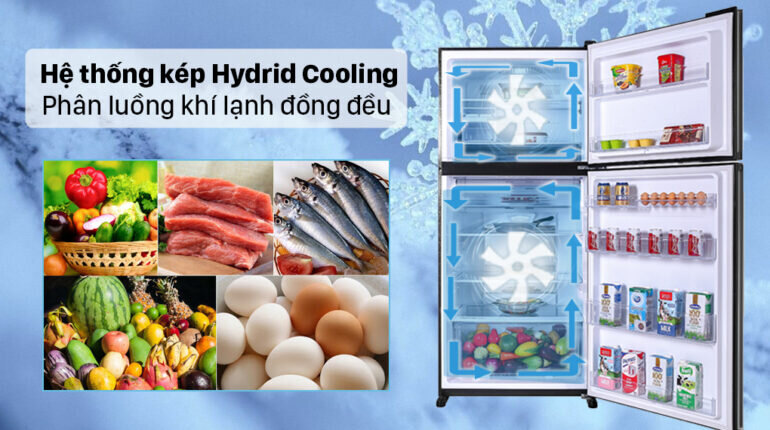 Đánh giá tủ lạnh Sharp SJ-XP620PG-BK