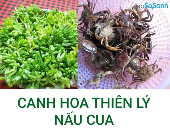 món ăn giúp an thần, dễ ngủ từ hoa thiên lý và cua