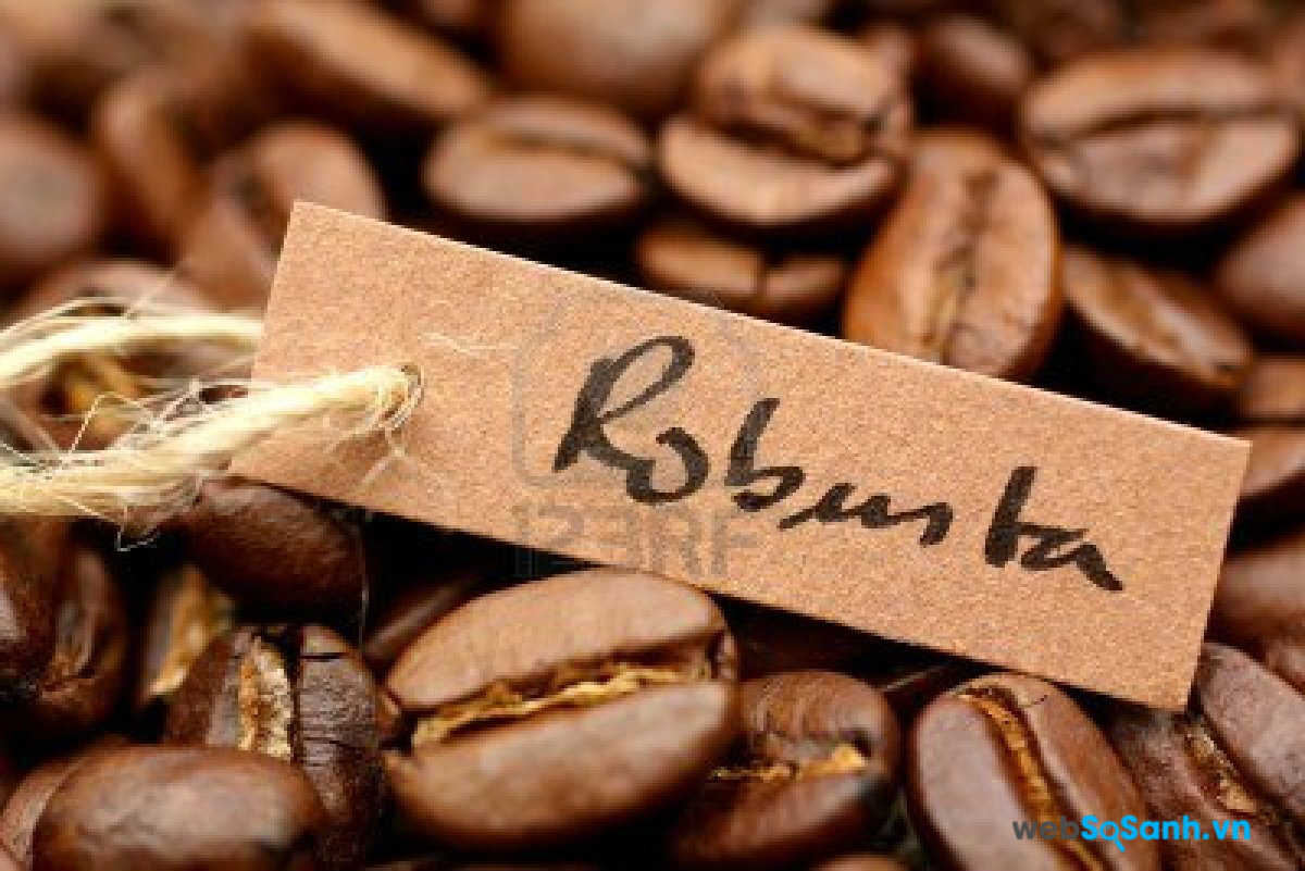 Cà phê Robusta trồng chủ yếu ở Việt Nam và có vị đắng đậm đặc hơn Arabica 