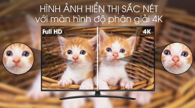 Trải nghiệm xem tivi chân thực với độ phân giải 4K và màu sắc sống động