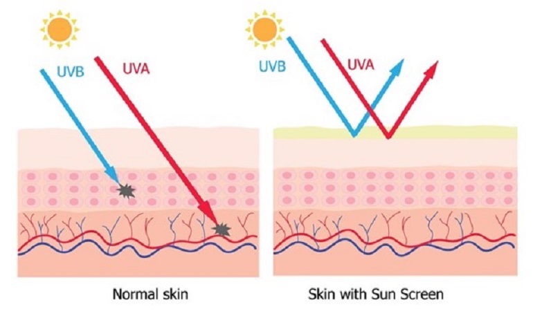 Kem chống nắng Avene emulsion dành cho da thường và da hỗn hợp