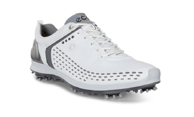 Giày đánh golf Ecco Men’s Golf Biom G 2