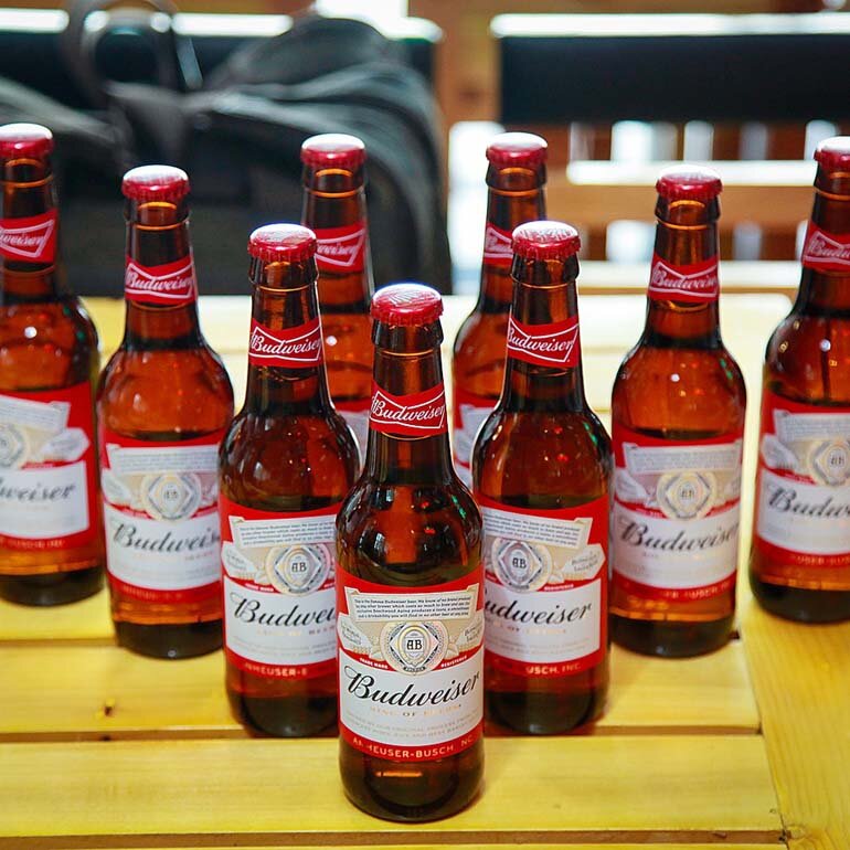chai bia budweiser