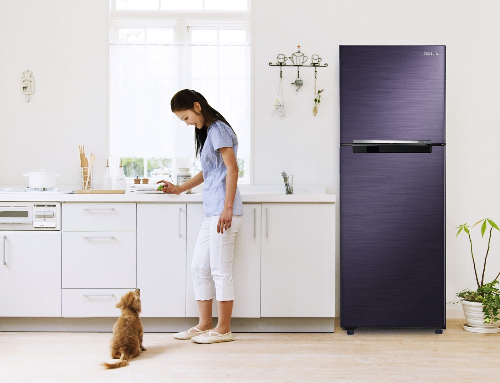 Tủ lạnh Samsung RT43K6331SL/SV, 443 lít, Inverter