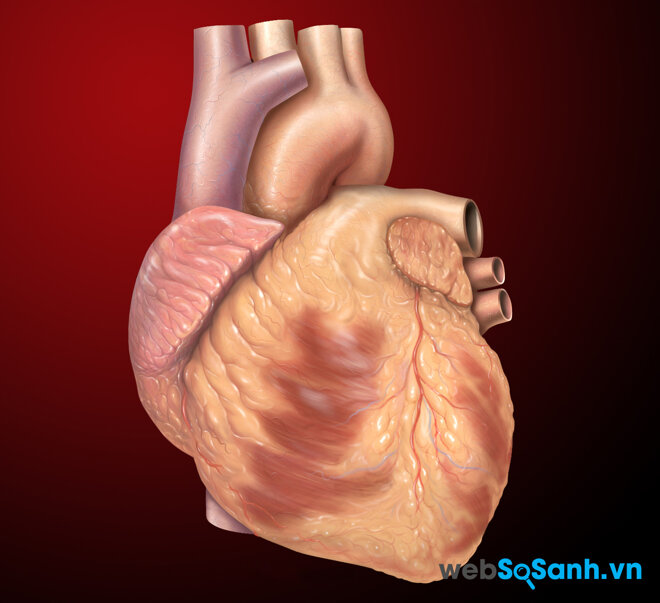 Tắm nước lạnh giúp tim khỏe mạnh hơn