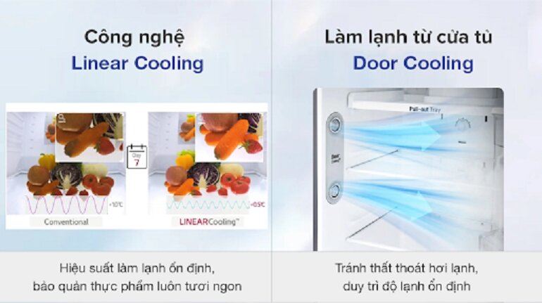 Nên hay không nên chọn mua tủ lạnh LG GV-D262PS?