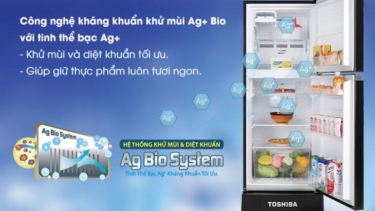 tủ lạnh Toshiba GR-A25VM (UKG1)