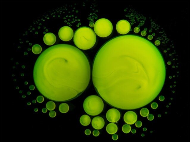 Green fluorescent droplets formed by mixing the chemicals inside a fluorescent stick. (Photo by Yan Liang/Caters News)