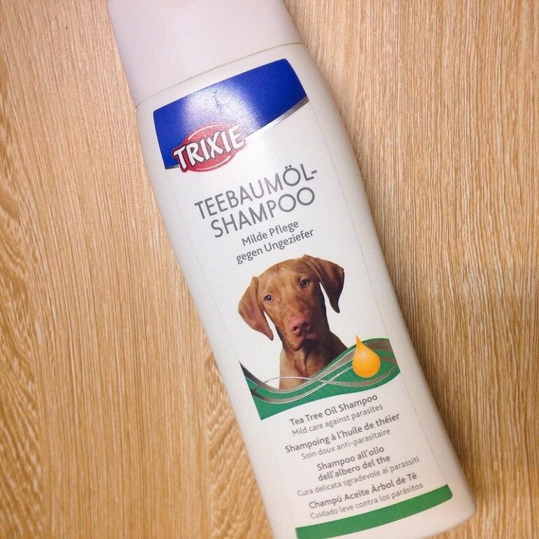 Shampoo for red brown Poodle dogs - Trixie