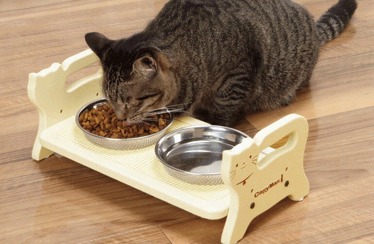 The amount of food for each cat depends on its weight