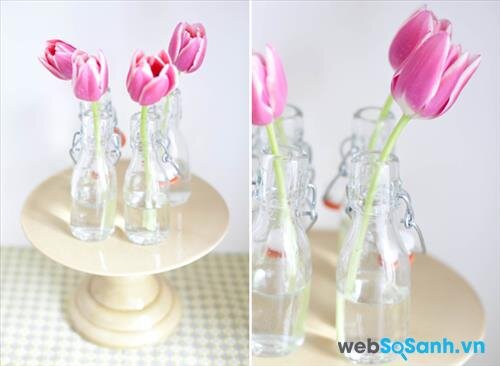 Những cách cắm hoa tulip đẹp mà đơn giản | websosanh.vn