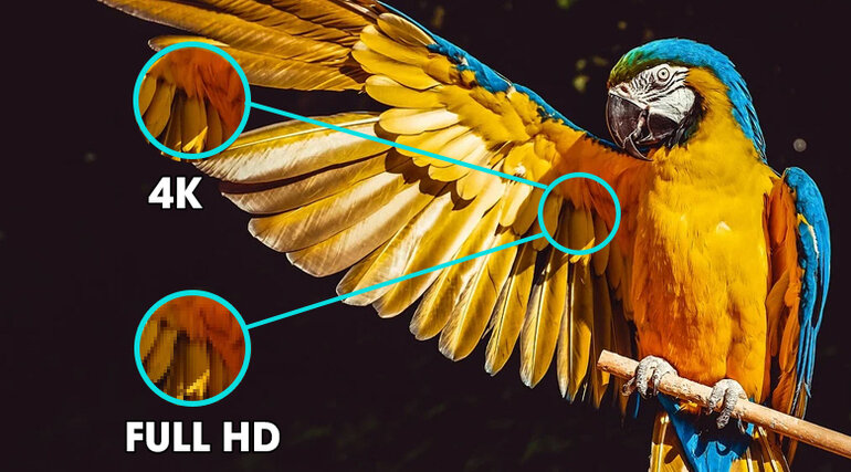 Trải nghiệm hình ảnh sắc nét với độ phân giải 4K gấp 4 lần Full HD thông thường