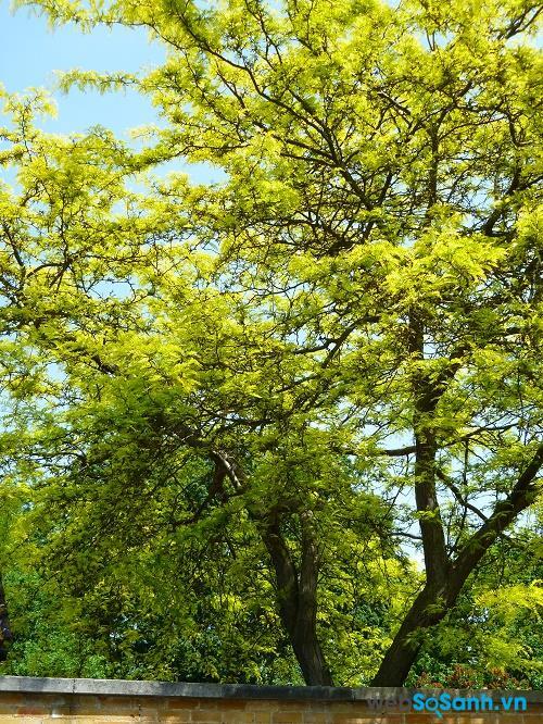 Hỉnh ảnh chụp bởi máy ảnh compact Lumix DMC-FH22 ở tiêu cự 47 mm, ISO 80 Hỉnh ảnh chụp bởi máy ảnh compact Lumix DMC-FH22 ở tiêu cự 47 mm, ISO 80