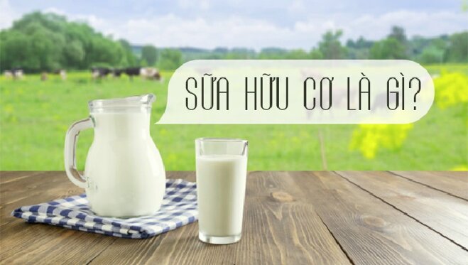 Sữa hữu cơ là gì?