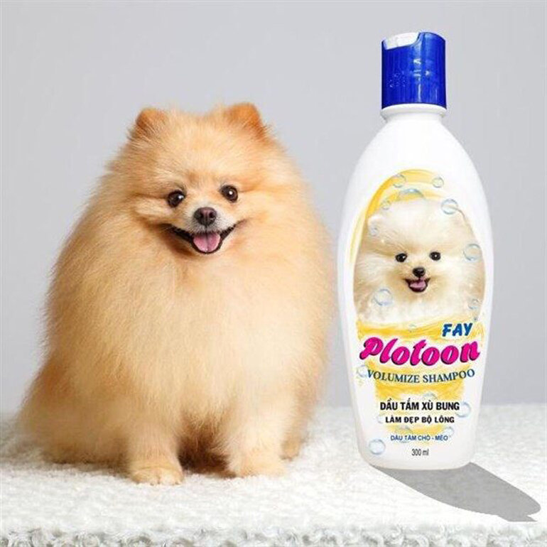 Fay Plotoon Poodle Shampoo is Affordable