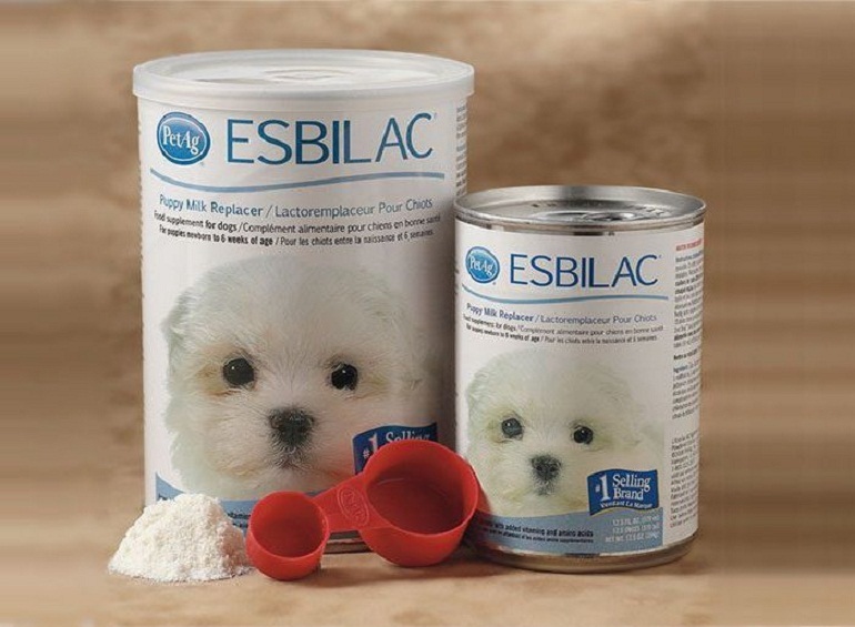 Esbilac- thương hiệu sữa cho chó nổi tiếng thế giới