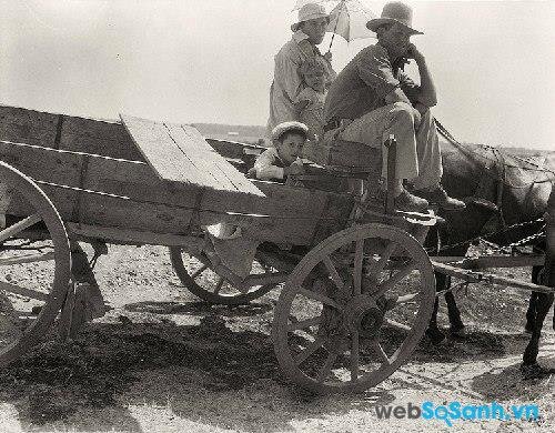 Một gia đình nông dân Mỹ, ảnh của tác giả Dorothea Lange