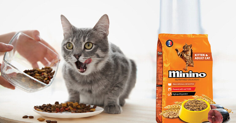 Thức ăn cho mèo minino là thương hiệu uy tín
