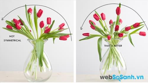 Những cách cắm hoa tulip đẹp mà đơn giản | websosanh.vn