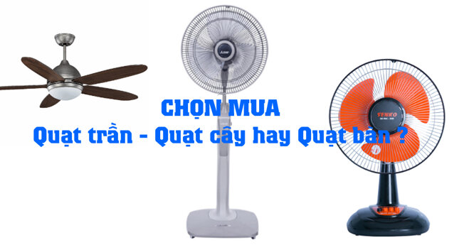 Chọn mua quạt trần, quạt cây hay quạt bàn thông thường để sử dụng trong mùa nóng ?