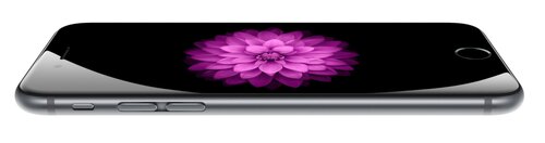 iPhone 6 (Giá tham khảo: 14.5 triệu đồng)