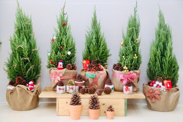 Không quá đắt như cây thông thật, những cây sơn tùng mini để bàn khi sử dụng trang trí Giáng Sinh cũng đẹp chả kém cây thông Noel thật