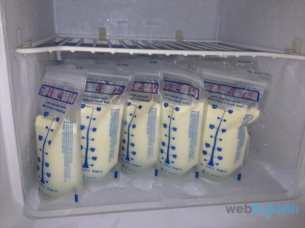 Sữa mẹ vắt ra để ngoài được bao lâu nhiệt độ thường, trong tủ lạnh?