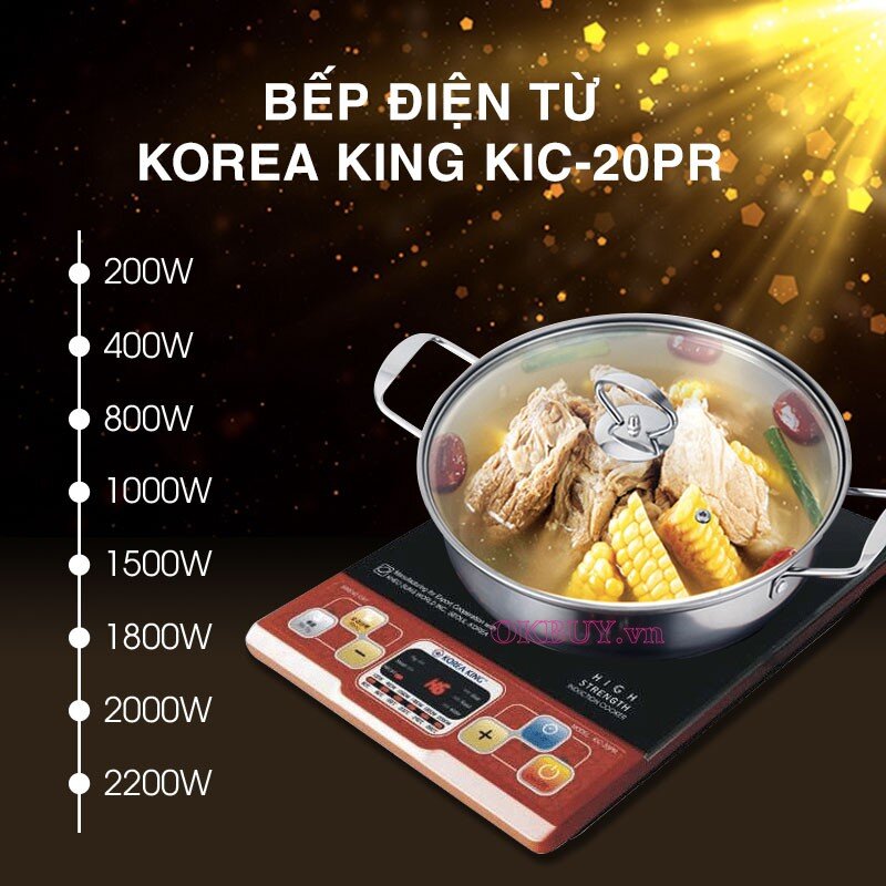 Bếp điện từ Korea King KIC 20 PR