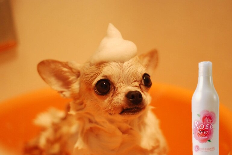 Sữa tắm cho chó Joyce & Dolls Rose Dew có xuất xứ từ Trung Quốc