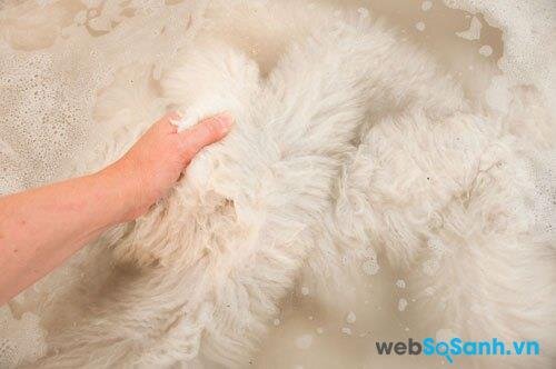 Dùng chất tẩy rửa không kiềm, dành riêng cho chăn lông, và nhẹ nhàng vò sạch chăn lông cừu