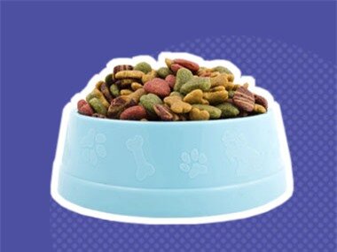 pet food bowl