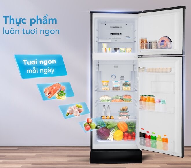 Đánh giá chi tiết tủ lạnh Funiki 147 lít FR-152CI.1