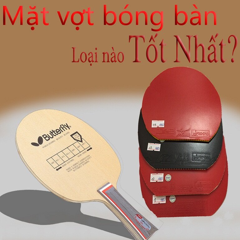 Mặt vợt bóng bàn là một trong 2 bộ phận quan trọng cùng với cốt vợt để tạo nên một chiếc vợt bóng bàn