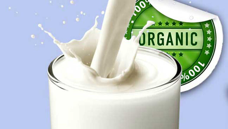 sữa hữu cơ
