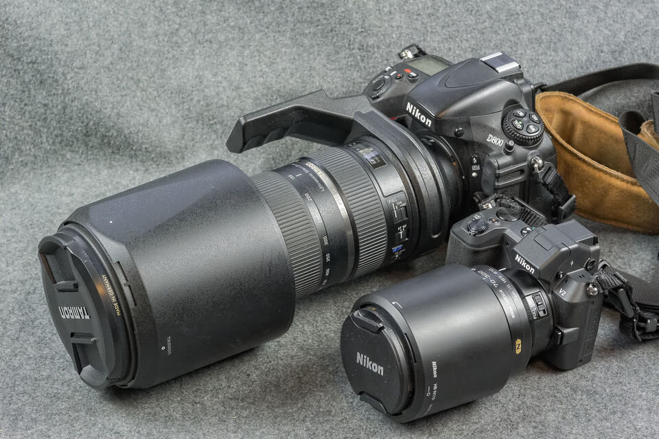 Ảnh minh họa ống Nikon 1 70-300mm f/4.5-5.6 với Tamron 150-600 VC