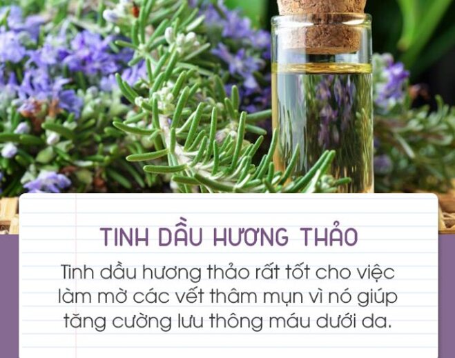 Tinh dầu hương thảo