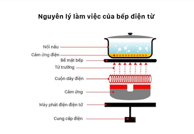 bếp hồng ngoại và bếp từ