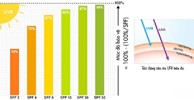 Lựa chọn chỉ số SPF và PA phù hợp với từng loại da