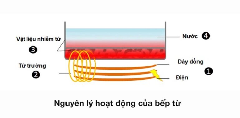 bếp hồng ngoại và bếp từ