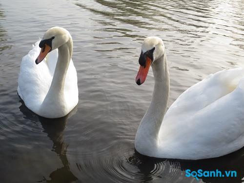 Ảnh chụp từ máy ảnh compact Canon IXUS 115 HS tại tiêu cự 48 mm, khẩu độ f/4.5 và ISO 100 Ảnh chụp từ máy ảnh compact Canon IXUS 115 HS tại tiêu cự 48 mm, khẩu độ f/4.5 và ISO 100