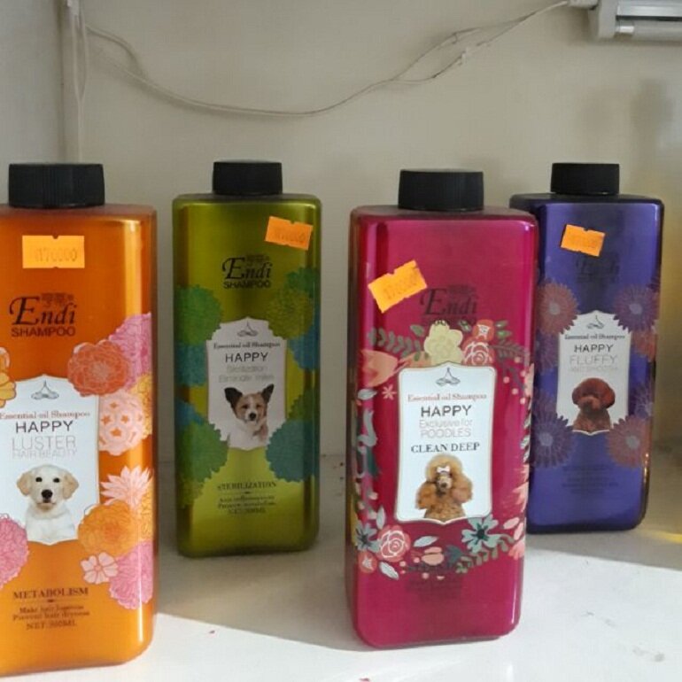 Sữa tắm cho chó Poodle nâu - Endi Shampoo