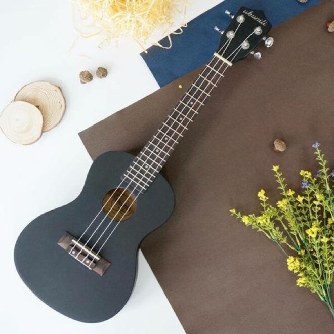 Đàn Ukulele Concert rất được ưa thích ở Việt Nam