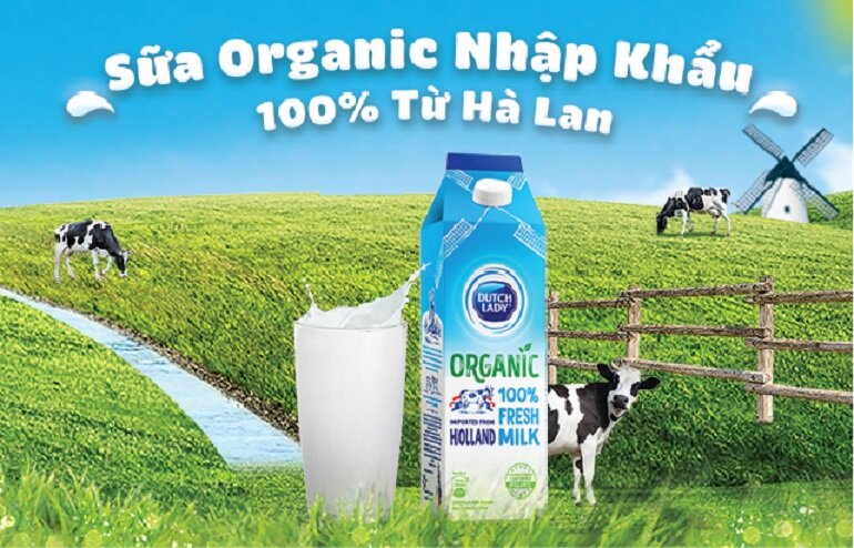 Sữa tươi organic Cô Gái Hà Lan