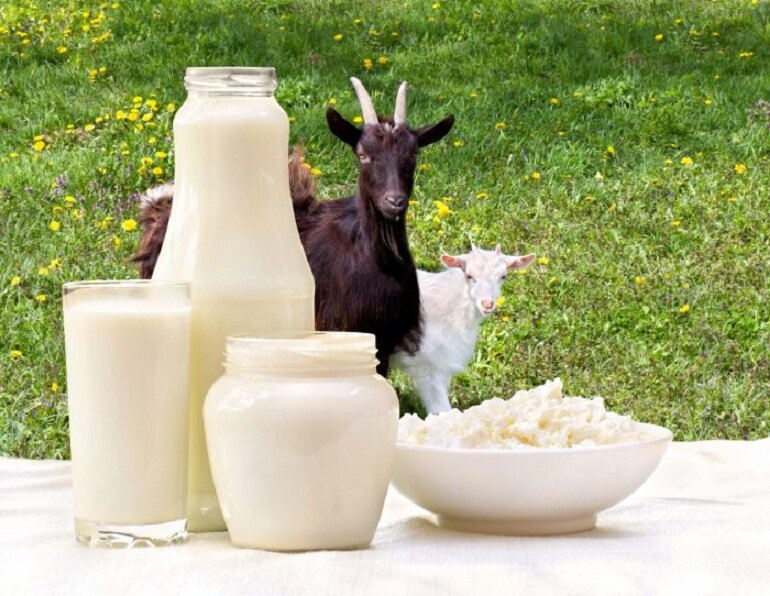 Cần tìm gì trong sữa dê hữu cơ?