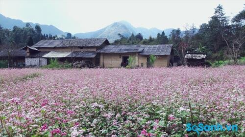 Phong cảnh mộc mạc lên thơ